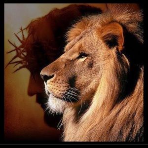 Meet your Posher, Tommy